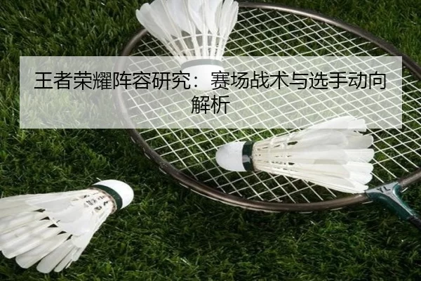 王者荣耀阵容研究：赛场战术与选手动向解析